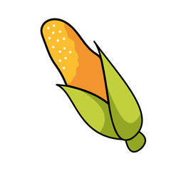 Vegetable Illustration