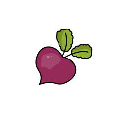 Vegetable Illustration