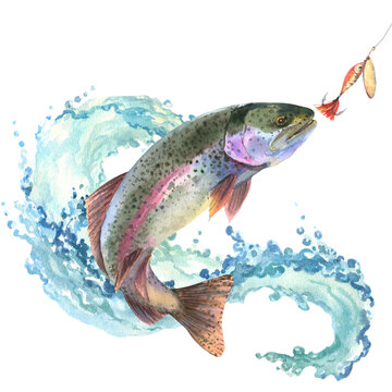 Watercolor illustration, trout jumping out of the water for bait. Composition perch and wave with water splash isolated on white background