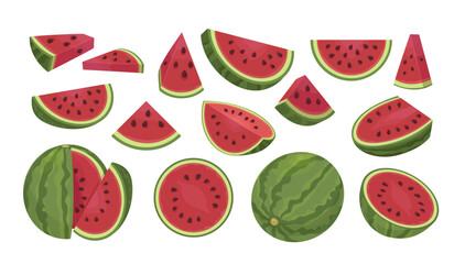 watermelon. sliced fresh healthy fruits. Vector cartoon illustrations set of watermelons