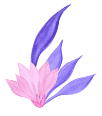 Pink flower with purple twig. Watercolor drawing. Sketch