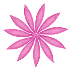 Pink flower. Watercolor drawing. Sketch