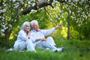 Elderly couple sits on the grass in summer