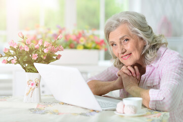 Senior woman using laptop at home