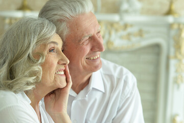 happy Senior couple posing