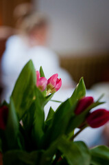 Kwiaty w hotelu, kawa i ciastka, apartamenty, tulipany w wazonie, kwiaty w wazonie - obrazy, fototapety, plakaty
