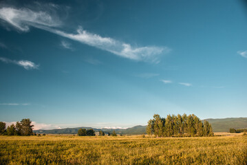Fototapeta na wymiar Clouds in blue skies and green grass beneath. Wheat fields