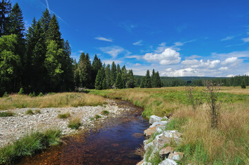 Fototapeta na wymiar Mountainous landscape with a river, coniferous trees and a meadow. Sumava National Park, Czech Republic