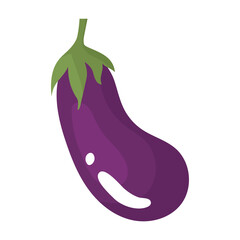Eggplant. Purple fruit of the nightshade family. Farm products. Harvesting vegetables for the winter. Vegetarian food preparation. Vector illustration for farmers and food markets.int