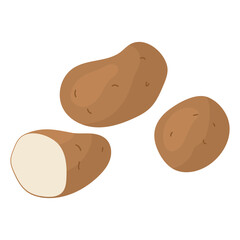 Two whole potato tubers and one cut. Starchy vegetables. Farm products. Harvesting vegetables for the winter. Vegetarian food preparation. Vector illustration for farmers and food markets.