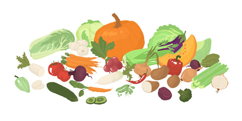 A set of vegetables after harvest. Farm products, organic farming. Different types of vegetables. Cruciferous, pacholic, root crops. Vector illustration for farmers and food markets.