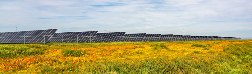 solar farm in Antelope Valley California