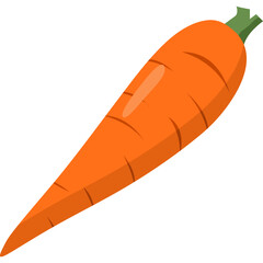 Carrot Illustration