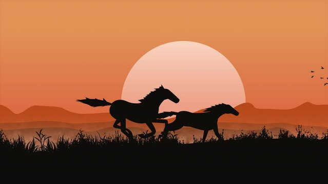 Running wild horses loop, horse on sunset