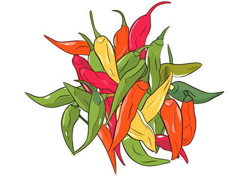 Eine Gruppe bunte Chilis, transparenter Hintergrund