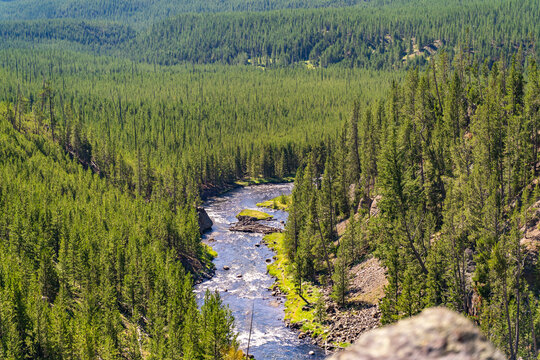 Scenic view of the gibbon river in Yellowstone National Park.