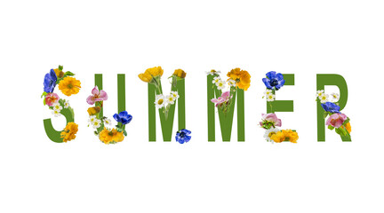 Fototapeta premium Single word summer green with various flowers, isoladed on transparent background