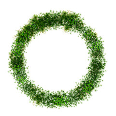3D render of a wreath made of flower and grass from summer meadow isolated on transparent background