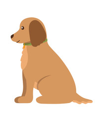 Brown Dog In Green Collar Vector Flat Illustration