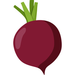 Beetroot Illustration
