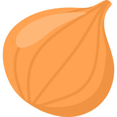  Onion Illustration