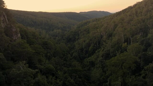 Purling Brook Forest filmed with a Drone, Australia