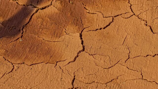 Soil drying in the hot sun with cracks forming - time lapse