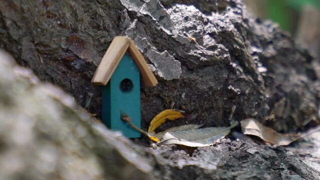 Magical tiny miniature house in the woods surrounded by foraging ants among the tree and leaves. Village in the woods.