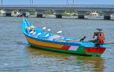 Fototapeta premium Little egrets on a fishing boat in Pulicat Lake