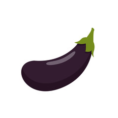 Eggplant Illustration