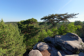 Obraz premium Sandstone rocks and forest path in the Franchard gorges. Fontainebleau forest 