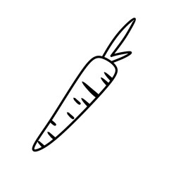 Carrot Icon