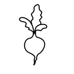 Beetroot Icon