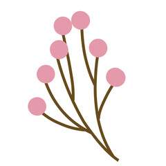 Baby Flower 