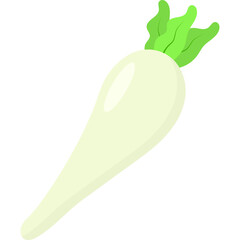 Radish Illustration