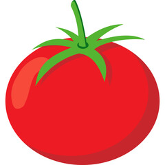 Tomato Illustration