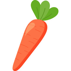 Carrot Illustration