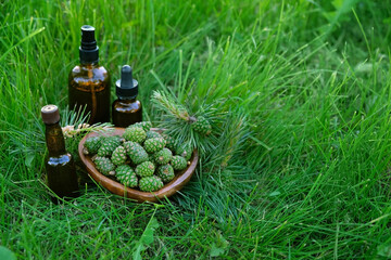 Spring young pine cones in plate and bottles with essential on natural green abstract background. young green pine cones - healing ingredient of folk medicine, containing vitamin C, treatment of colds