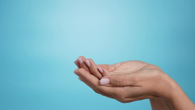 Closeup side view 4k slow motion stock video footage of two empty manicured female hands isolated on blue background. Woman making gesture as if holding or showing something virtual or invisible