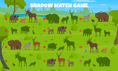 Shadow match game. Find similar silhouette of forest animals and birds. Vector game, riddle worksheet with wolf, boar, bear and deer, fox, hare, elk or lynx, and duck wildlife beasts on green lawn