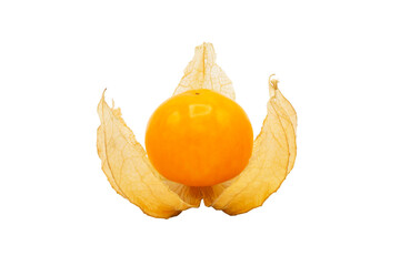 Closeup of Cape gooseberry, physalis with isolated on transparent background, clipping path, PNG