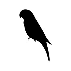 Single Love Bird, Pet Bird silhouette. Block Black Sign Symbol Icon vector illustration in trendy flat style. Editable graphic resources for many purposes.