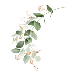 Watercolor bouquet of leaves and eucalyptus branch with golden line. Botanical herbal illustration isolated on transparent background for prints, fabric, wallpapers, postcards, greeting cards, wedding