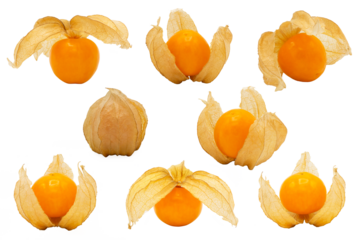 Closeup of Cape gooseberry set, physalis with isolated on transparent background, clipping path, PNG