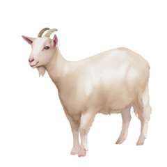 goat with style hand drawn digital painting illustration
