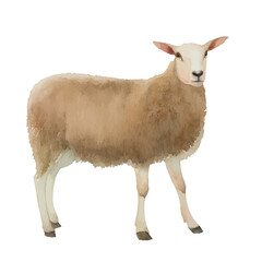 sheep with style hand drawn digital painting illustration