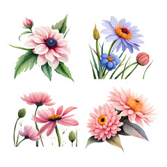 Obraz premium collection of drawn watercolor flowers
