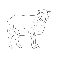Sheep in graphic style. Illustration vector.