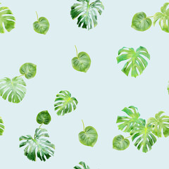 Green tropical monstera leaves seamless pattern 
