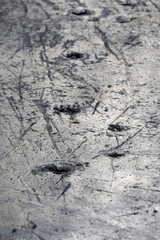 concrete wall texture
